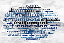 Tax avoidance mechanisms, their impacts on popular consent to taxation and social cohesion
