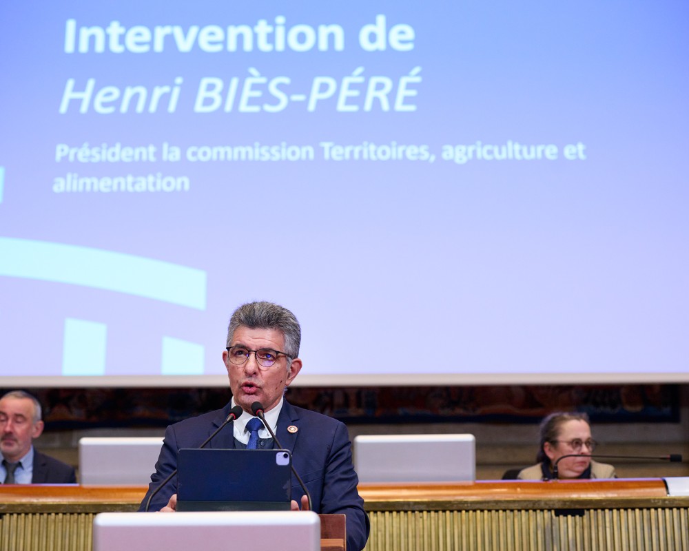 Henri Biès-Péré