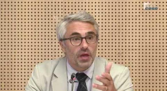 Audition de Pascal SAINT-AMANS (OCDE) - Evitement fiscal
