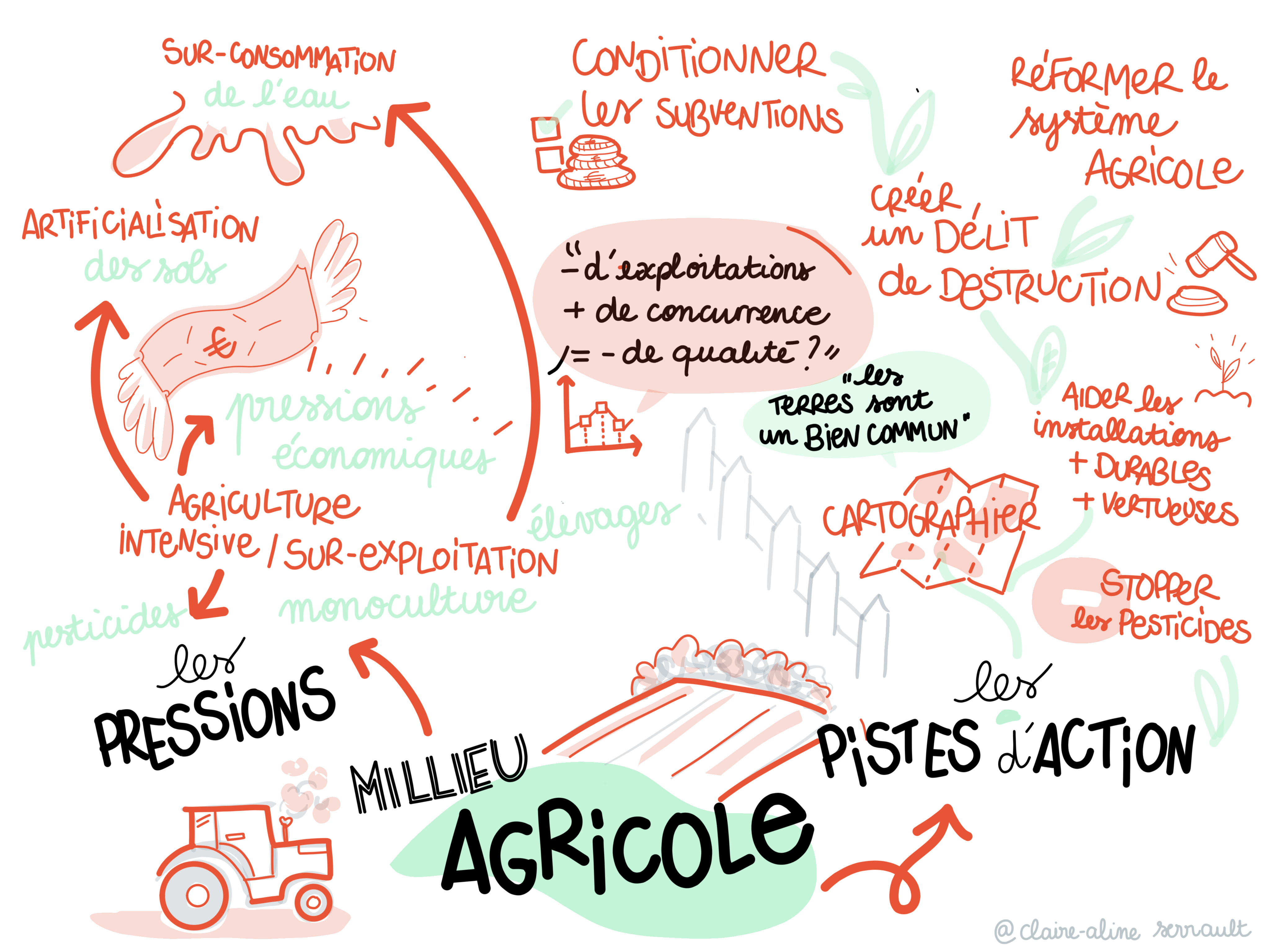 Facilitation graphique des échanges consacrés à l'écosystème agricole