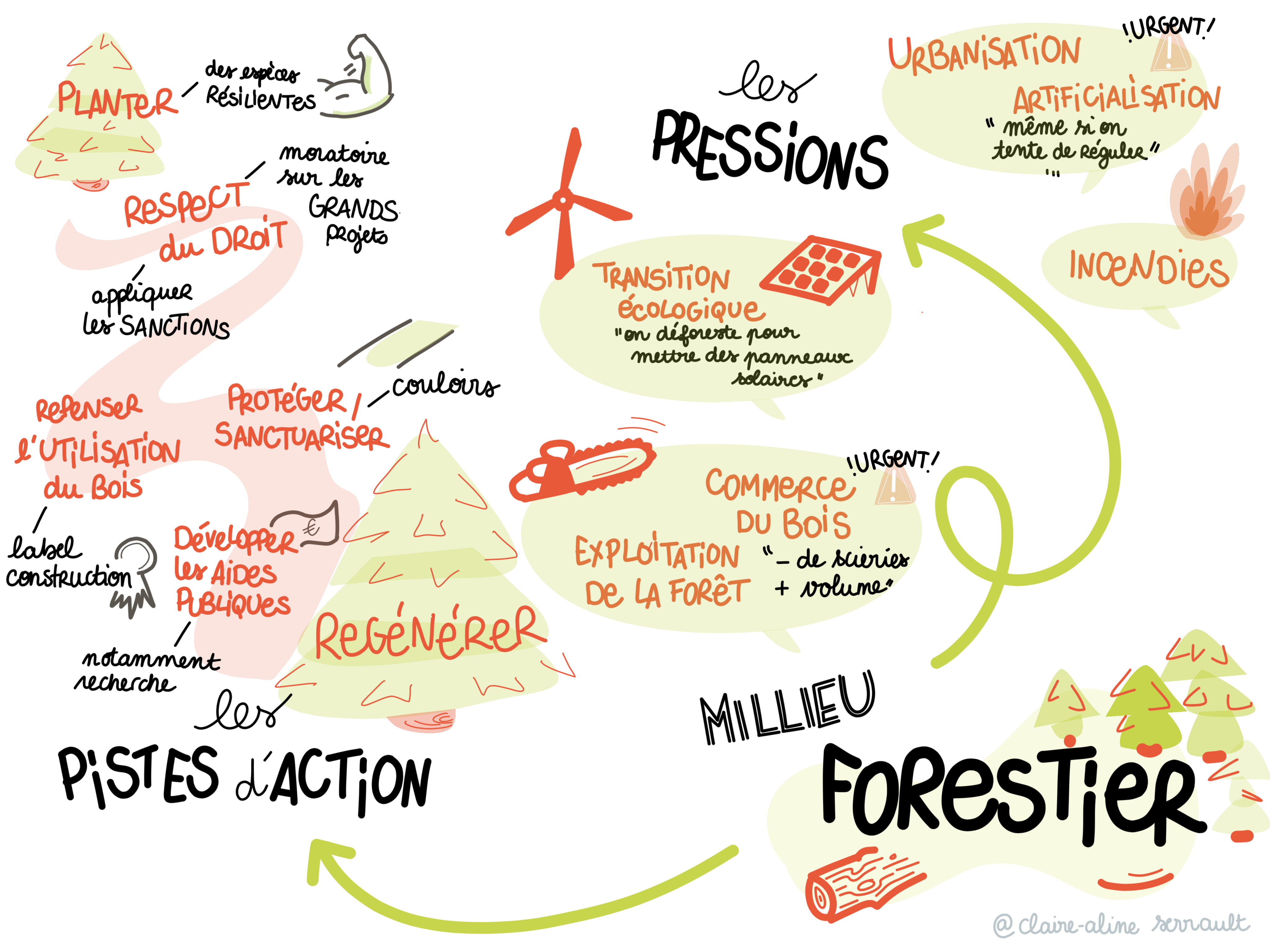 Facilitation graphique des échanges consacrés à l'écosystème forestier