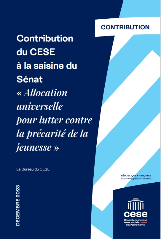 Contribution du CESE à la saisine du Sénat "allocation universelle pour lutter contre la précarité de la jeunesse"