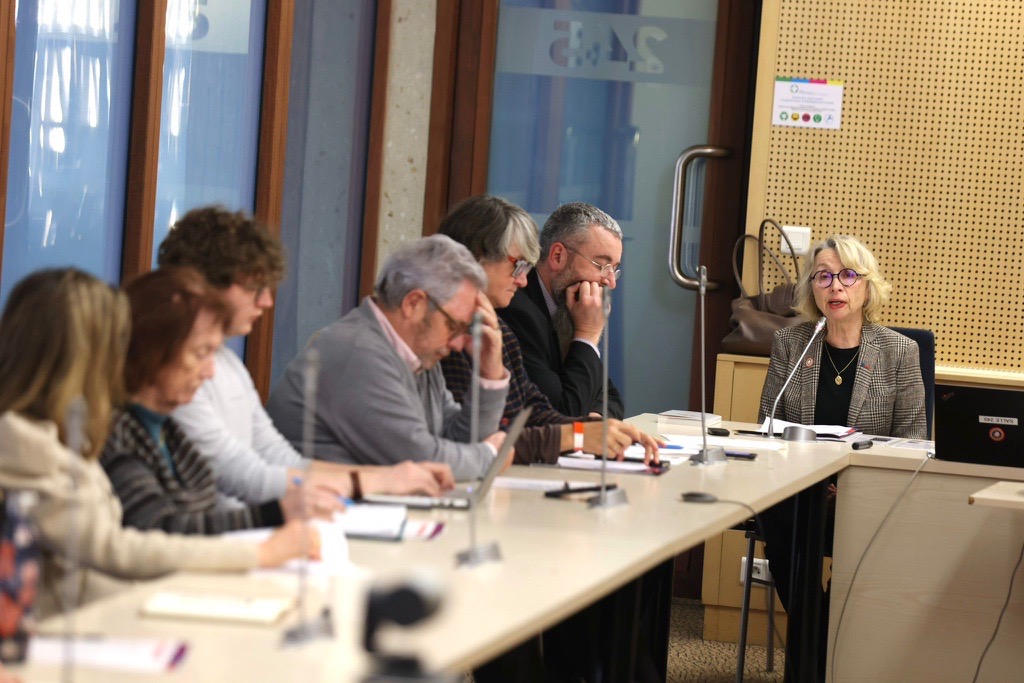 Atelier des groupes rencontres européennes du CESE