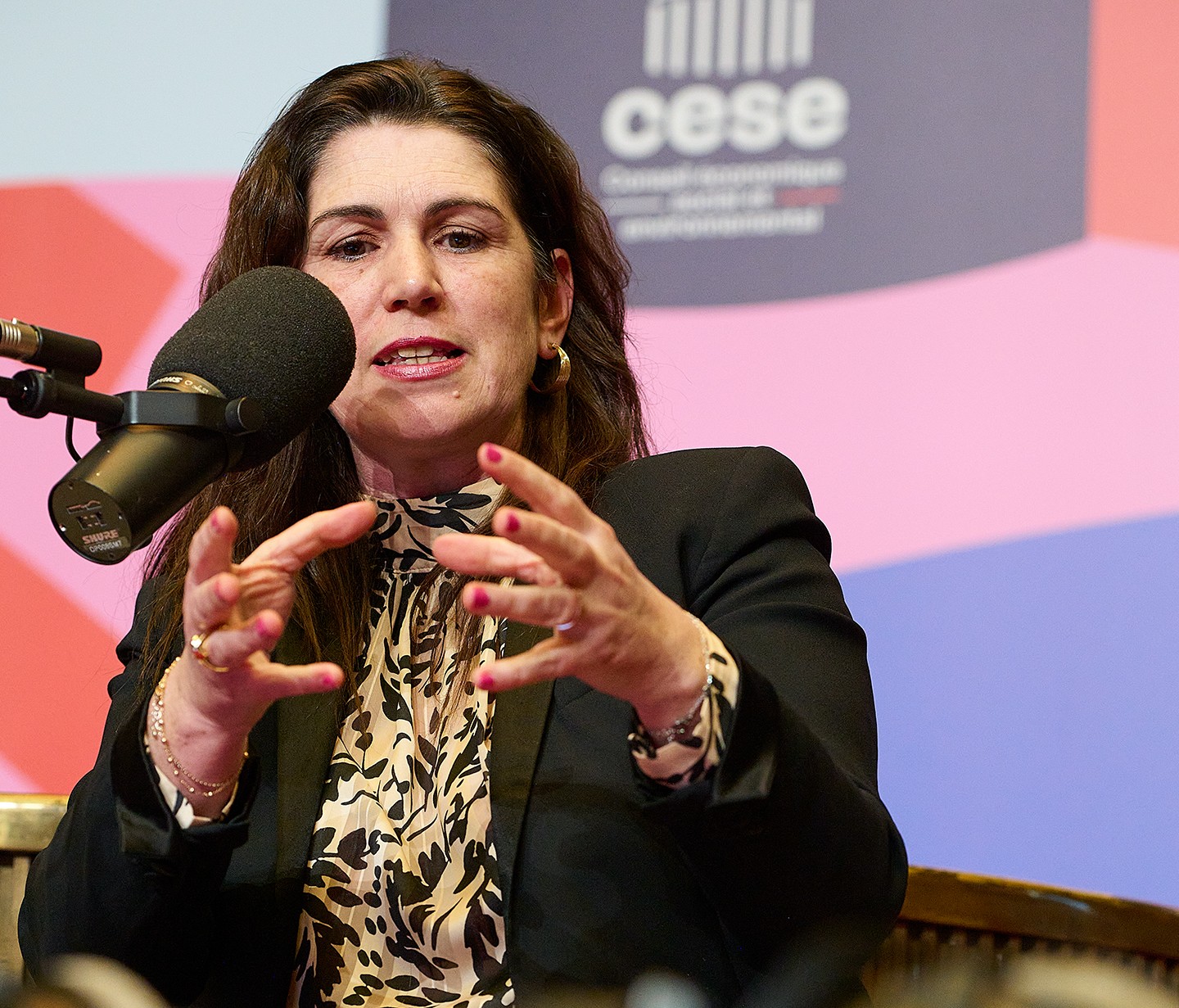 Emmanuelle Dancourt, émission femmes et médias CESE