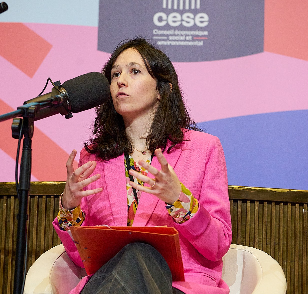 Lucie Daniel, émission femmes et médias CESE