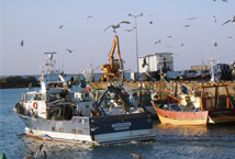 La future politique commune des pêches
