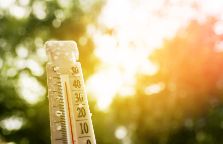 Adaptation au changement climatique 