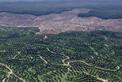 Le rôle de l'Union européenne dans la lutte contre la déforestation importée