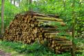 La valorisation de la forêt française