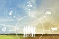 L'innovation en agriculture