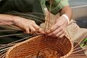 La microfinance dans les Outre-mer
