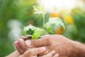 Financer la transition écologique et énergétique