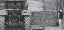Entre transmettre et s'installer, l'avenir de l'agriculture !