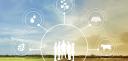 L'innovation en agriculture
