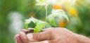 Financer la transition écologique et énergétique