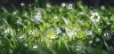Impacts de l'intelligence artificielle : risques et opportunités pour l'environnement 