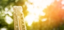 Adaptation au changement climatique 