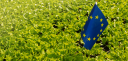 Quel avenir pour le Pacte vert pour l’Europe et ses citoyens ?