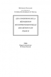 Les conditions de la réinsertion socioprofessionnelle des détenus en France