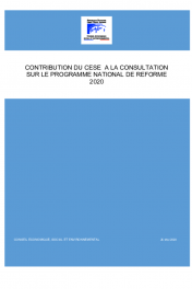 CONTRIBUTION DU CESE A LA CONSULTATION SUR LE PROGRAMME NATIONAL DE REFORME
2020