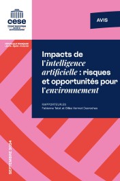 Impacts de l’intelligence artificielle : risques et opportunités pour l’environnement