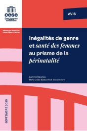 Inégalités de genre et santé des femmes au prisme de la périnatalité