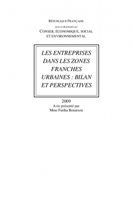 Les entreprises dans les zones franches urbaines : bilan et perspectives
