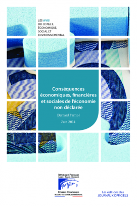 Conséquences économiques, financières et sociales de l’économie non déclarée