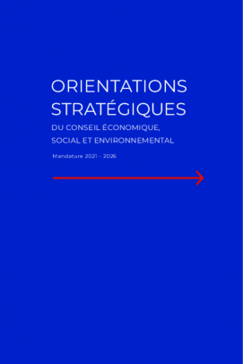 Orientations stratégiques du Conseil économique, social et environnemental