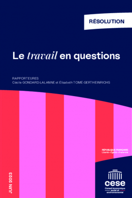 Le travail en questions