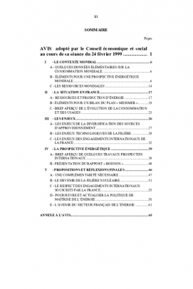 Les perspectives énergétiques de la France à l'horizon 2010-2020