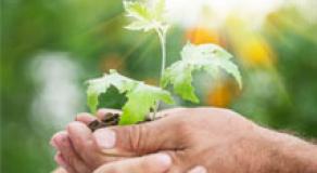 Financing environmental and energy transition