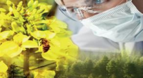 Aiming for a sustainable bioeconomy