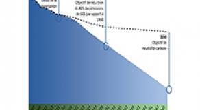 Opinion of the esec on article 1 of the energy bill
