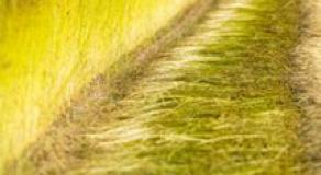 The flax and hemp industries at the heart of emerging bio-sourced materials