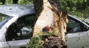 Los territorios frente a las catástrofes naturales: qué herramientas para prevenir los riesgos
