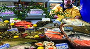 Marine and inland fish farms : stakes and conditions for successful sustainable development