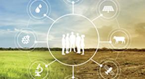 Innovation in agriculture