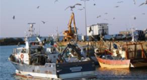 The future common fisheries policy (CFP)