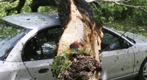 Les territoires face aux catastrophes naturelles : quels outils pour prévenir les risques ?