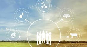 L'innovation en agriculture