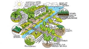 La nature en ville : comment accélérer la dynamique ?