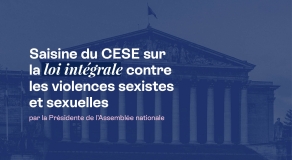 x femmes et aux enfants dite « loi intégrale ». ...