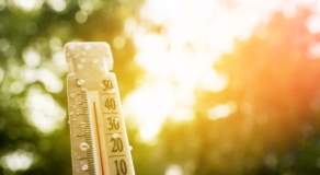 Adaptation au changement climatique 