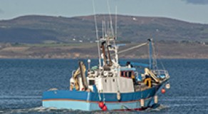 ¿QUÉ TIPO DE PESCA MARÍTIMA ES SOSTENIBLE CON RESPECTO AL CAMBIO CLIMÁTICO?