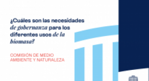 ¿Cuáles son las necesidades de gobernanza para los diferentes usos de la biomasa?