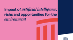 Impact of artificial intelligence:  risks and opportunities for the  environment