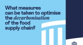 What measures can be taken to optimise the decarbonisation of the food supply chain?