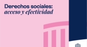 Derechos sociales: acceso y efectividad
