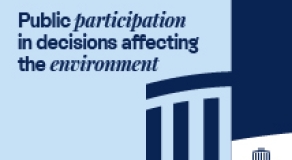 Public participation in decisions affecting the environment
